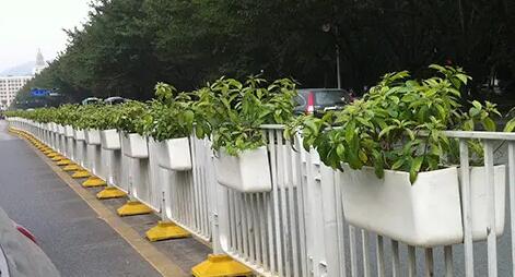 選購玻璃鋼花盆需要注意的事項