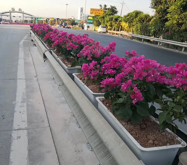 市政花箱在城市道路中地位顯著提升