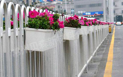 市政玻璃鋼花盆成市場主流趨勢