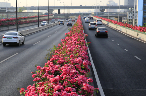 實用型道路綠化玻璃鋼花盆：城市美化的藝術之選