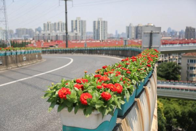 高架橋花盆這樣放到底安不安全