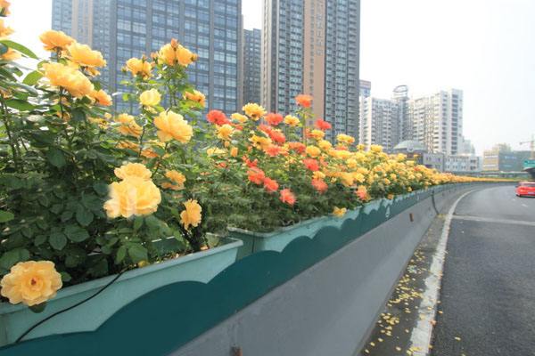 玻璃鋼橋梁花盆